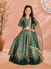Beautiful Green Brocade Lehenga Set