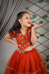 Embroidered Blouse with Net Lehenga