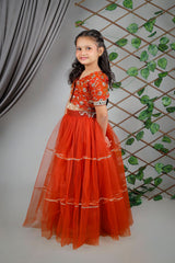 Embroidered Blouse with Net Lehenga