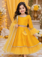 Yellow Brocade and Net Lehenga