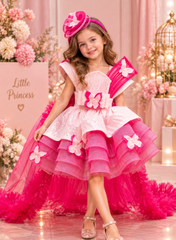 Dual Shade Butterfly Ruffle Dress with Wire Detailing