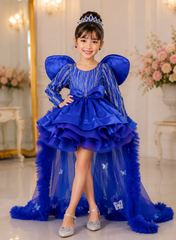 Royal Blue Fairy Theme Dress