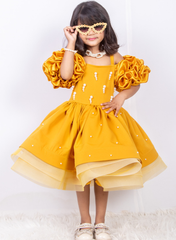 Mustard Banana Crepe and Net Dress