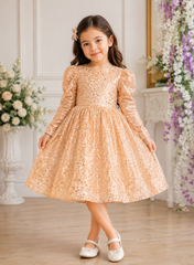 Golden Embroidered Gown
