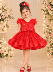Red Imported Sequins Mini Dress