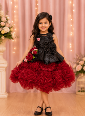 Black & Maroon Floral Organza Party Dress