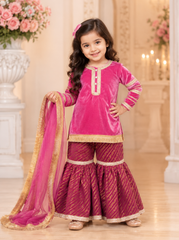 Pink and Wine Velvet and Brocade Sharara Suit
