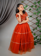 Embroidered Blouse with Net Lehenga