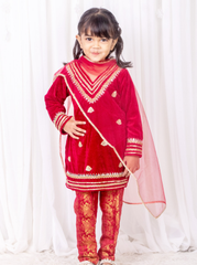 Maroon Velvet and Brocade Suit