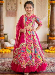 Pink Embroidered lehenga Choli