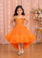 Orange Ruffled sequins and Net Dress