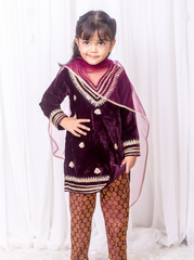 Wine Velvet and Brocade Suit