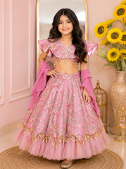 Onion Pink Fully Embroidered Lehenga