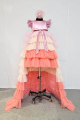 Onion Pink Shaded Ruffled Trail Dress