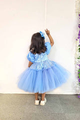 Light Blue Elsa Princess Dress