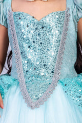 Princess Cinderella Gown