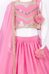 Blush Pink Lehenga Set