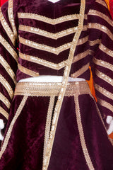Beautiful Wine Velvet Lehenga Set