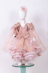 Nude Pink Shimmery Butterfly Dress with Trail