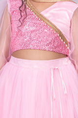 Pink Sequins and Net Lehenga Set