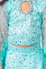 Sky Blue Fully Embroidered Ruffled Lehenga