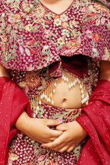 Maroon Fully Embroidered Lehenga