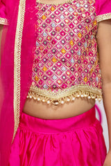 Hot Pink Thread Embroidered Lehenga