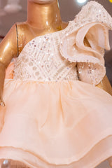 Light Peach Pearl Embroidered Organza Dress