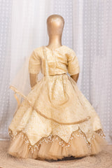 Beautiful White and Golden Lehenga Set