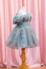 Ethereal Rose Tulle Frock