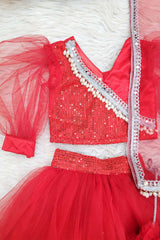 Red Net and Sequins Lehenga