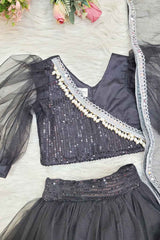 Black Net and Sequins Lehenga