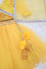 Yellow Net and Sequins Lehenga