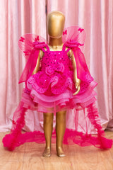 Blossom Pink Sequins And Organza Combo Dress