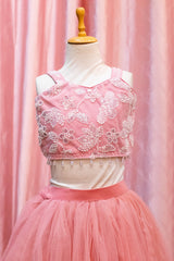 Blush Pink Embroidered Crop Top And SKirt