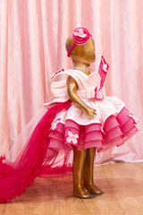 Dual Shade Butterfly Ruffle Dress with Wire Detailing
