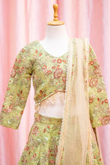 Embroidered Green Lehenga Choli