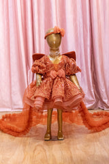 Rust Heavy Embroidery Dress