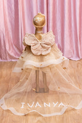 https://www.rajkumari.co/details/golden-butterfly-fairy-dress