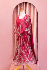 Maroon Heavy Embroidered Lehenga Choli