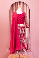 Maroon Heavy Embroidered Lehenga Choli