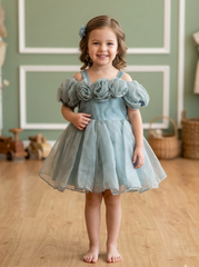 Ethereal Rose Tulle Frock