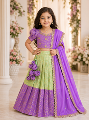 Lavender Green Hand Embroidered Lehenga Set