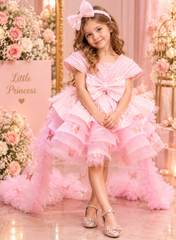 Blush Pink Sequin Wired Princess Frock