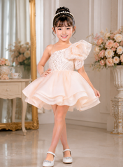 Light Peach Pearl Embroidered Organza Dress