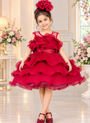 Maroon Wrinkled Georgette Dress