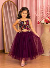 Wine Embroidered  Crop Top And Skirt