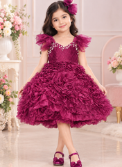 Wine Rose Flare Dress with Hairband