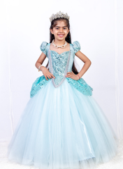 Princess Cinderella Gown