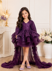 Wine Embroidered Dress With Trail Dress